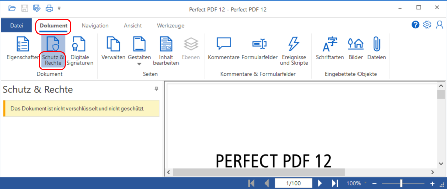 PDF Schutz