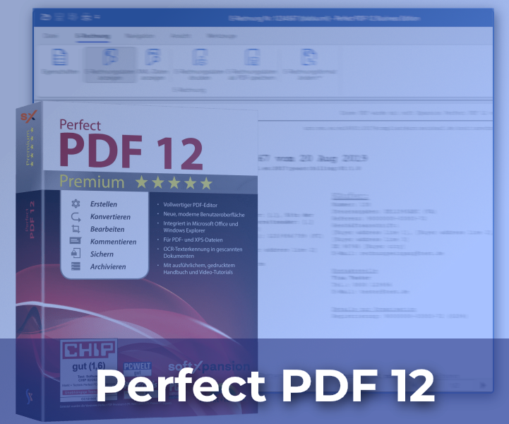 E-Rechnungen in Perfect PDF 12